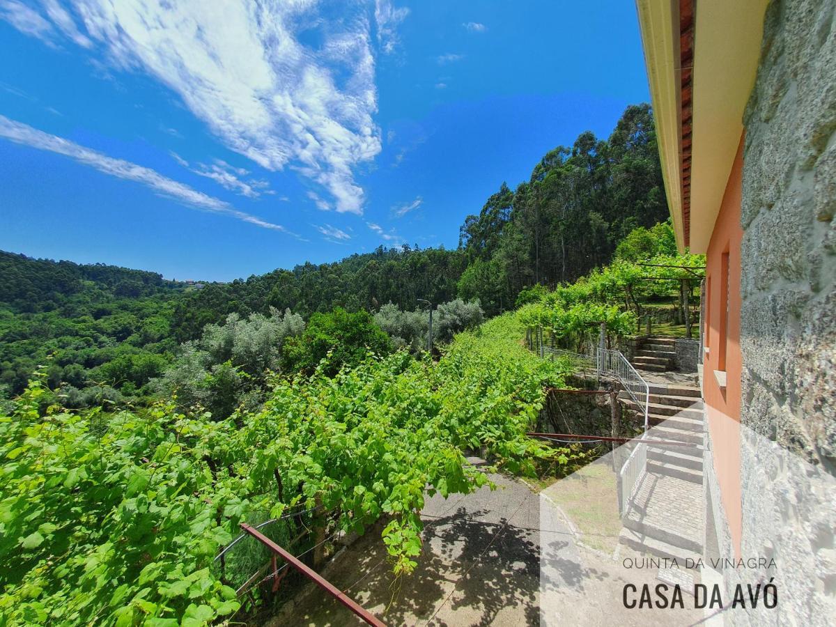 Quinta Da Vinagra Villa Tourim Екстериор снимка